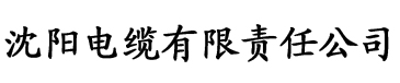 老扒与儿媳张敏陈红陈法蓉电缆厂logo